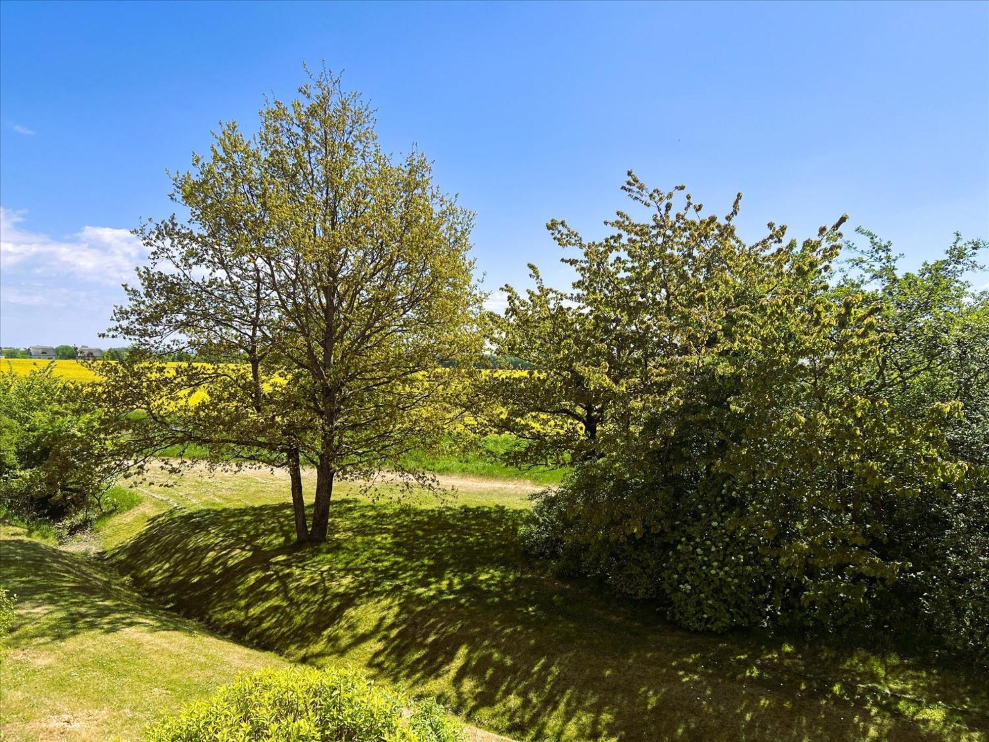 Feriendorf Rugana - Klassik Appartement Mit 1 Schlafzimmer D44 Dranske Exterior foto